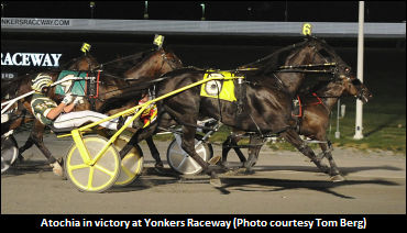 Burke: Atochia May Be Faster Than 'Foiled'