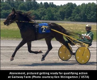 Two-Year-Olds Strut At Gaitway