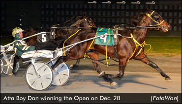 Atta Boy Dan Triumphs In Open