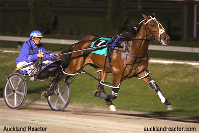 Injury Interrupts Auckland Reactor’s Schedule