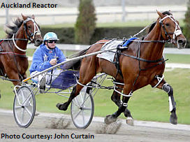 Stewards Investigate Purdon’s Piloting