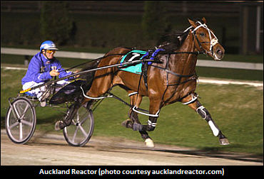 Harrison: Reactor Not Acclimatizing Well