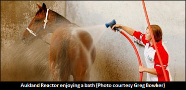 Purdon To Forget 'The Reactor's Last Year