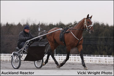 'The Reactor' Has Arrived