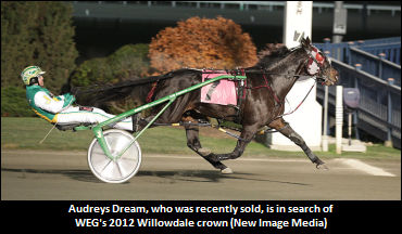 'Dreaming' Of Willowdale Fame