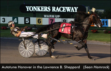 'Autotune' Breaks Maiden In Sheppard