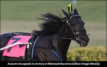 Another Winning 'Escapade' For Miller?