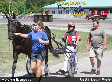 Autumn Escapade Trots Tioga Track Record