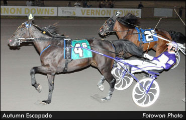 'Escapade' Bests Buck I St Pat's Mark