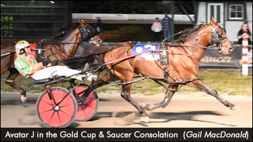 Avatar J Wins MacGregor Memorial  Avatar J Wins MacGregor Memorial