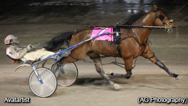 Avatartist Romps; Prologue Streaking