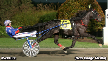 Autumn Series Prelims Completed