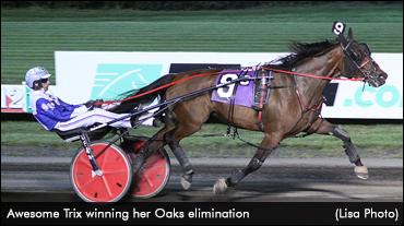 Awesome Trix A Bargain For Beaver