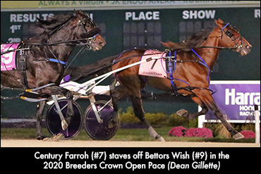 'Crown' Rematch In Potomac Pace