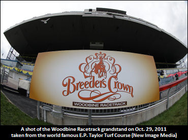 Breeders Crown Photo Recap