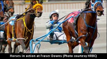 Horsemen's Update On BC Stalemate