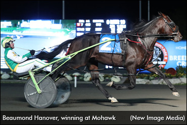 Darling And An Eye-Catching 'Beau' 