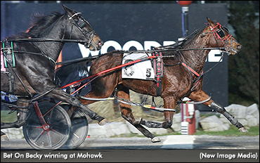 Bet On Becky Best In Harvest Series