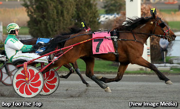 Upsets Galore In Celias Counsel Sequel