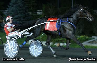 Bountiful 'Harvest' For MacDonell; McClure Rolls A Five