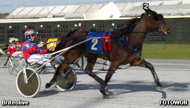 DSBF Prelims Open With A Bang 