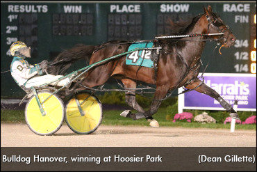 Bulldog Hanover Still Has Bite