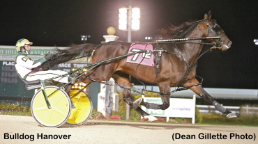 Bulldog Hanover Ties Stakes Record