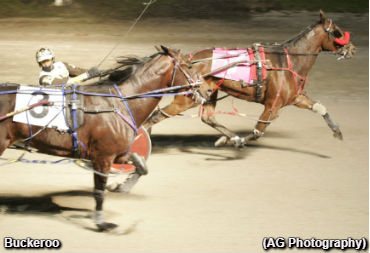 Buckeroo Wires Up Preferred Foes