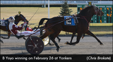 B Yoyo A Nose Winner In Yonkers Open