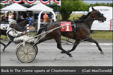 Fillies Flaunt It For Old Home Week