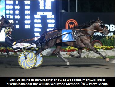 Back Of The Neck Is Blossoming