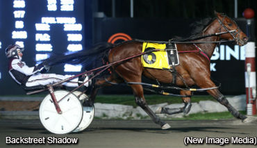 Big Trip For Backstreet Shadow Big Trip For Backstreet Shadow