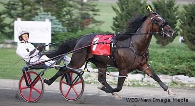 Badlands Nitro Retired To Stud