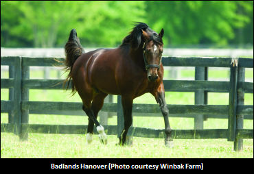 Badlands Hanover Relocating