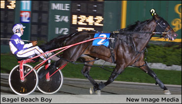 Bagel Beach Boy Retired