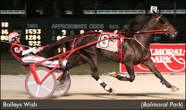 Baileys Wish Wins Lady Lincoln Land; Welch Celebrates Milestone