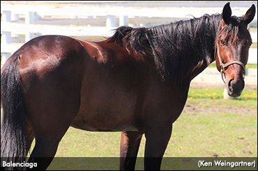 Kelley Has High Hopes For Balenciaga