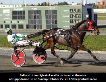 Bali Tops At Hippodrome 3R