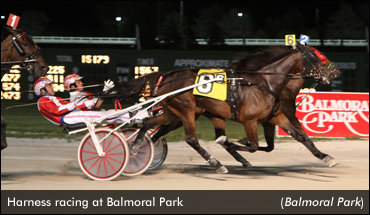 Balmoral Park Finale Well Supported