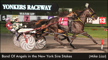 Band Of Angels Tops Sire Stakes Winners
