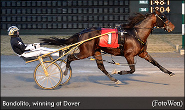 Bandolito Now The Fastest Of 2015