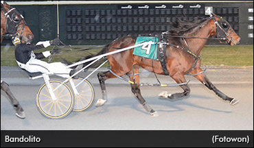 Bandolito North America's Fastest