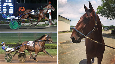 Barbera On His Three 'Captains' 