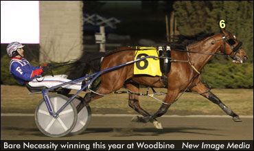 Bare Necessity Stays Perfect In ‘Spring’ Elims