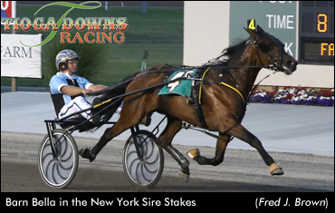 Barn Bella Equals Track Record