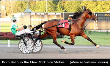 Favourites Dominate NY Sire Stakes