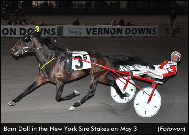 Barn Doll Best In New York Sire Stakes