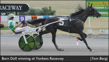 Sire Stakes Champ Pursues Another Title