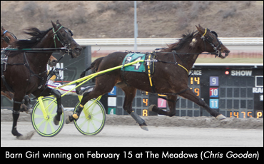 Barn Girl Beats The Boys