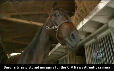 Barona Lilac’s Win-Win Endeavour